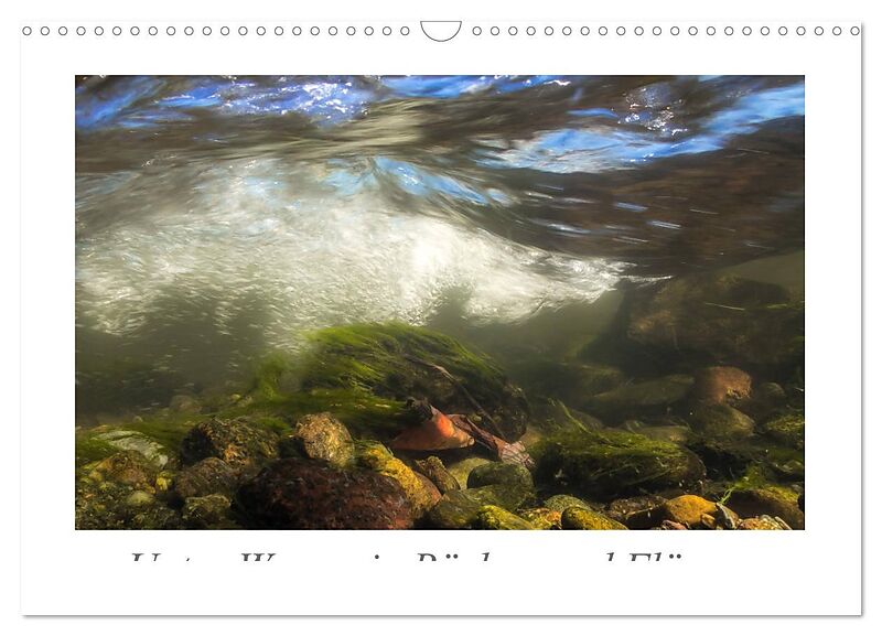 Unter Wasser in Bächen und Flüssen (Wandkalender 2026 DIN A3 quer), CALVENDO Monatskalender
