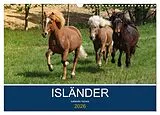 Kalender Isländer - icelandic horses (Wandkalender 2026 DIN A3 quer), CALVENDO Monatskalender von Alexandra Hollstein