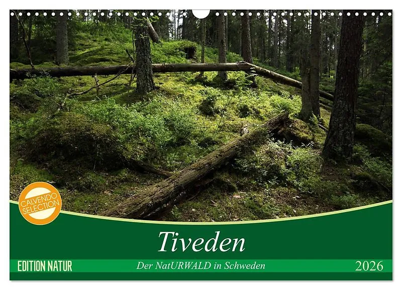 Tiveden, der NatURWALD in Schweden (Wandkalender 2026 DIN A3 quer), CALVENDO Monatskalender