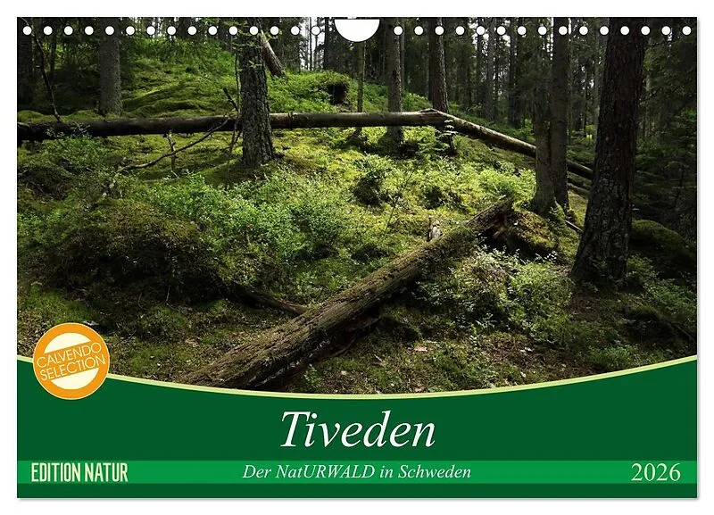 Tiveden, der NatURWALD in Schweden (Wandkalender 2026 DIN A4 quer), CALVENDO Monatskalender
