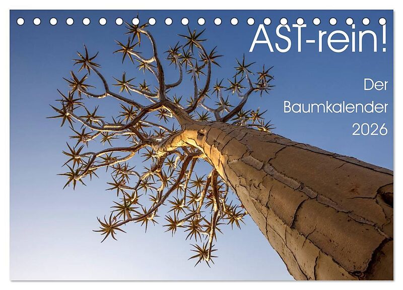 Astrein! - Der Baumkalender 2026 (Tischkalender 2026 DIN A5 quer), CALVENDO Monatskalender