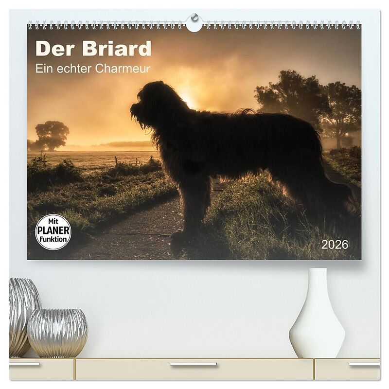 Der Briard 2026 - Ein echter Charmeur (hochwertiger Premium Wandkalender 2026 DIN A2 quer), Kunstdruck in Hochglanz