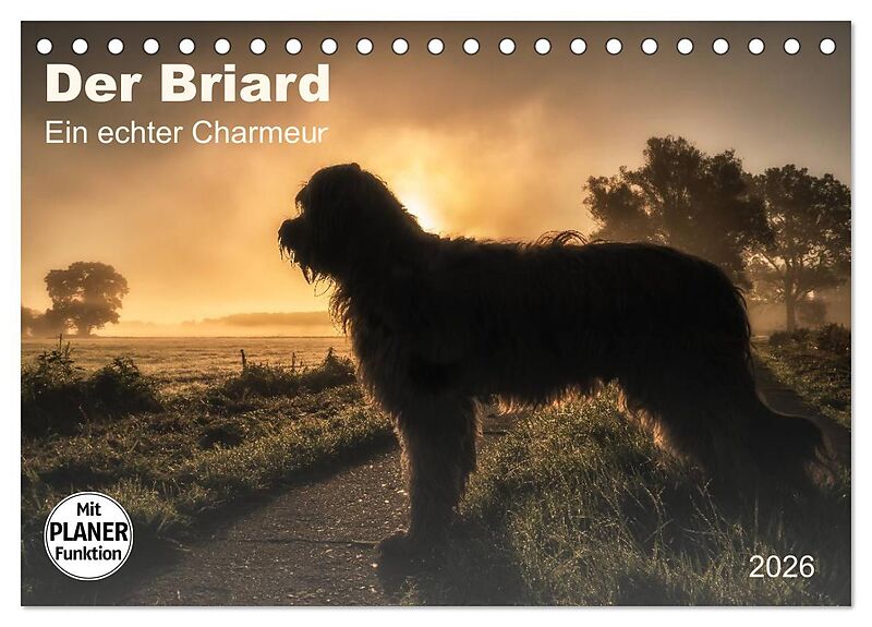 Der Briard 2026 - Ein echter Charmeur (Tischkalender 2026 DIN A5 quer), CALVENDO Monatskalender