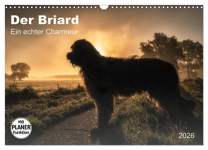 Der Briard 2026 - Ein echter Charmeur (Wandkalender 2026 DIN A3 quer), CALVENDO Monatskalender