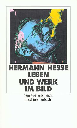Kartonierter Einband Hermann Hesse von Hermann Hesse