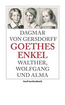 Kartonierter Einband Goethes Enkel von Dagmar von Gersdorff