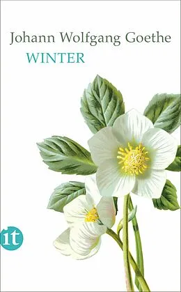 E-Book (epub) Winter von Johann Wolfgang Goethe