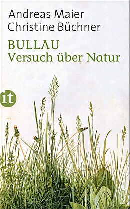 E-Book (epub) Bullau von Andreas Maier, Christine Büchner