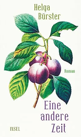 E-Book (epub) Eine andere Zeit von Helga Bürster