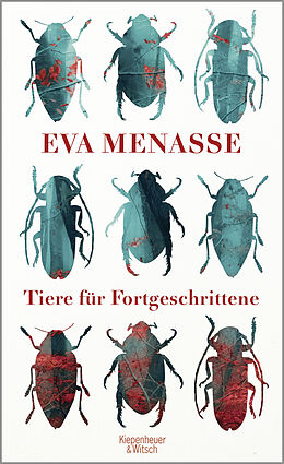 Fester Einband Tiere für Fortgeschrittene von Eva Menasse