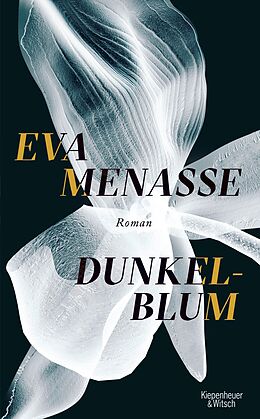 E-Book (epub) Dunkelblum von Eva Menasse