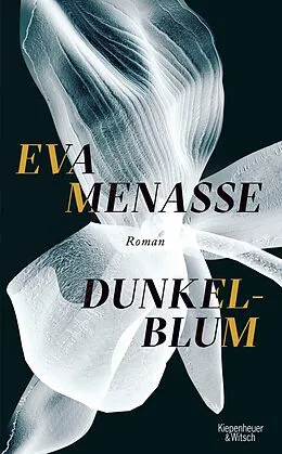 E-Book (epub) Dunkelblum von Eva Menasse