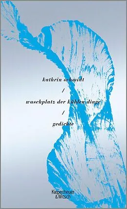 E-Book (epub) waschplatz der kühlen dinge von Kathrin Schmidt