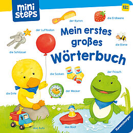Pappband, unzerreissbar (PpU) ministeps: Mein erstes großes Wörterbuch von Hannelore Dierks