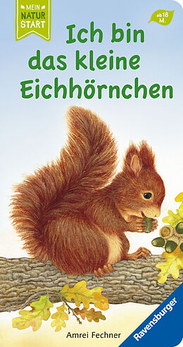 Pappband, unzerreissbar Ich bin das kleine Eichhörnchen von Amrei Fechner