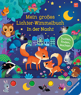 Pappband Mein großes Lichter-Wimmelbuch: In der Nacht von Sandra Grimm