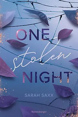 E-Book (epub) One Stolen Night von Sarah Saxx