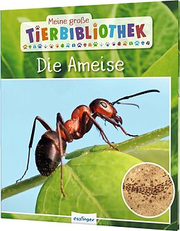 Fester Einband Meine große Tierbibliothek: Die Ameise von Axel Gutjahr