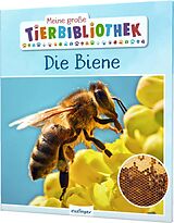 Fester Einband Meine große Tierbibliothek: Die Biene von Paul Starosta