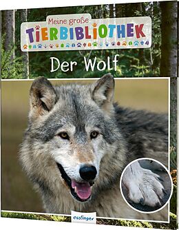 Fester Einband Meine große Tierbibliothek: Der Wolf von Christian Havard