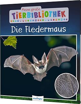 Fester Einband Meine große Tierbibliothek: Die Fledermaus von Dr. Jens Poschadel, Antje Möller