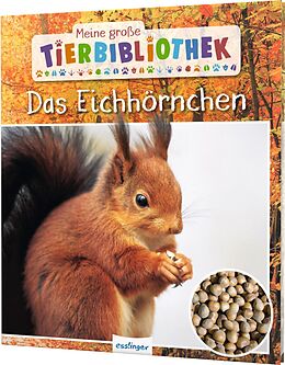 Fester Einband Meine große Tierbibliothek: Das Eichhörnchen von Stéphanie Ledu-Frattini