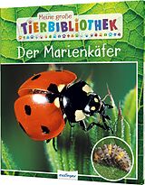 Fester Einband Meine große Tierbibliothek: Der Marienkäfer von Valérie Tracqui