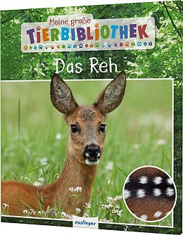 Fester Einband Meine große Tierbibliothek: Das Reh von Dr. Jens Poschadel