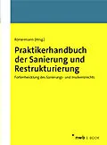 E-Book (pdf) Praktikerhandbuch der Sanierung und Restrukturierung von Tom Brägelmann, Susana Campos Nave, Peter Fissenewert