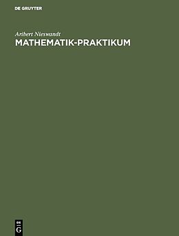 E-Book (pdf) Mathematik-Praktikum von Aribert Nieswandt