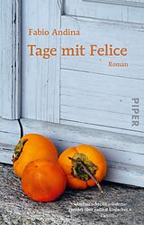 Kartonierter Einband Tage mit Felice von Fabio Andina