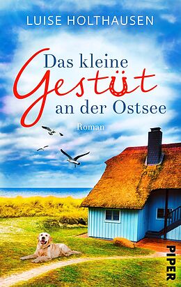 Kartonierter Einband Das kleine Gestüt an der Ostsee von Luise Holthausen