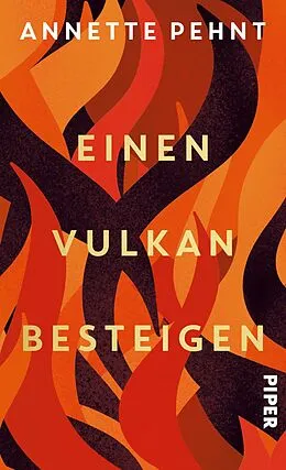 E-Book (epub) Einen Vulkan besteigen von Annette Pehnt