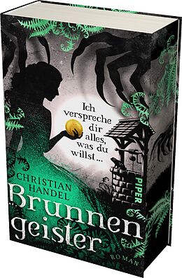 Fester Einband Brunnengeister  Ich verspreche dir alles, was du willst ... von Christian Handel