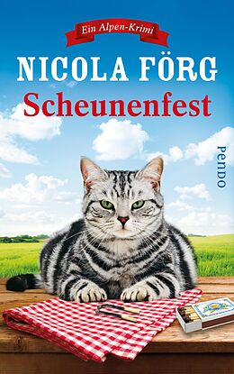 E-Book (epub) Scheunenfest von Nicola Förg