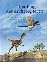 Fester Einband Der Flug des Archaeopteryx von Ludger Bollen