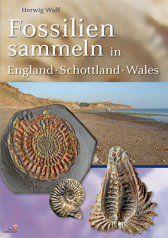 Fossilien Sammeln In England Schottland Wales Herwig Wulf