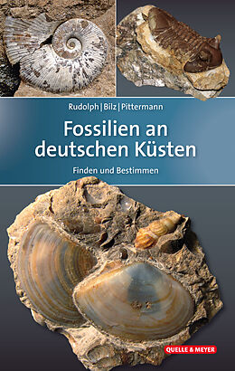 Fester Einband Fossilien an deutschen Küsten von Frank Rudolph, Wolfgang Bilz, Dirk Pittermann