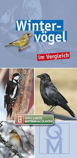 Textkarten / Symbolkarten Wintervögel im Vergleich von 