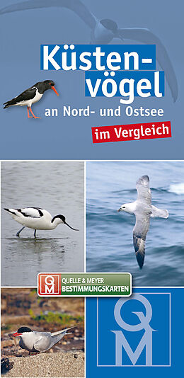 Kartonierter Einband (Kt) Küstenvögel an Nord- und Ostsee im Vergleich von 