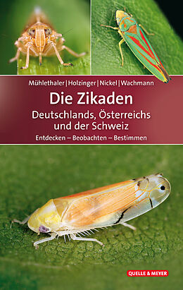 Fester Einband Die Zikaden Deutschlands, Österreichs und der Schweiz von Roland Mühlethaler, Werner Holzinger, Herbert Nickel