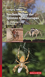 Fester Einband Taschenlexikon der Spinnen Mitteleuropas von Wolfgang Willner