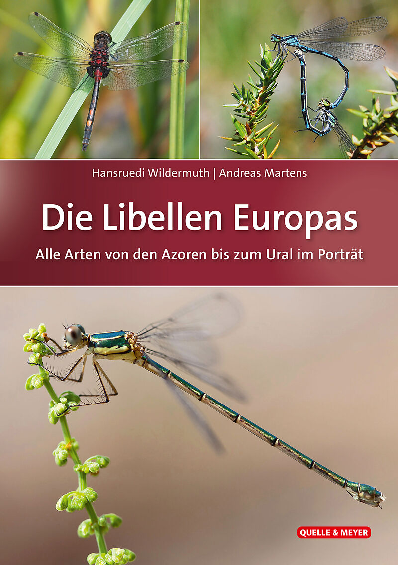 Die Libellen Europas