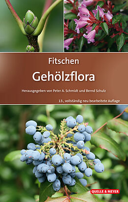 Fester Einband Fitschen - Gehölzflora von Peter A Schmidt, Bernd Schulz, Ulrich Hecker