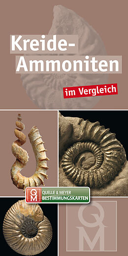 Textkarten / Symbolkarten Kreide-Ammoniten von 