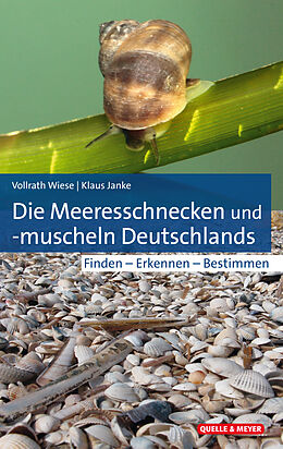Fester Einband Die Meeresschnecken und -muscheln Deutschlands von Vollrath Wiese, Klaus Janke