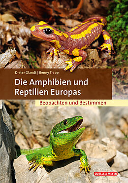 Fester Einband Die Amphibien und Reptilien Europas von Dieter Glandt, Benny Trapp