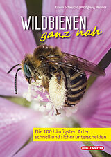 Kartonierter Einband Wildbienen ganz nah von Erwin Scheuchl, Wolfgang Willner
