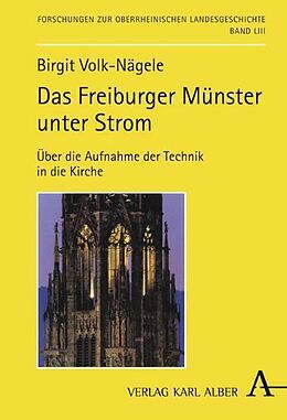 Fester Einband Das Freiburger Münster unter Strom von Birgit Volk-Nägele