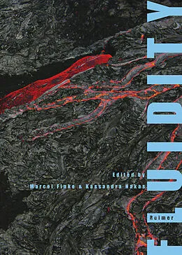 E-Book (pdf) Fluidity von Mathias Denecke, Marcel Finke, Liliana Gómez